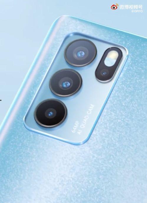 金山夜话爆料最新视频下载,独家爆料内容抢先看